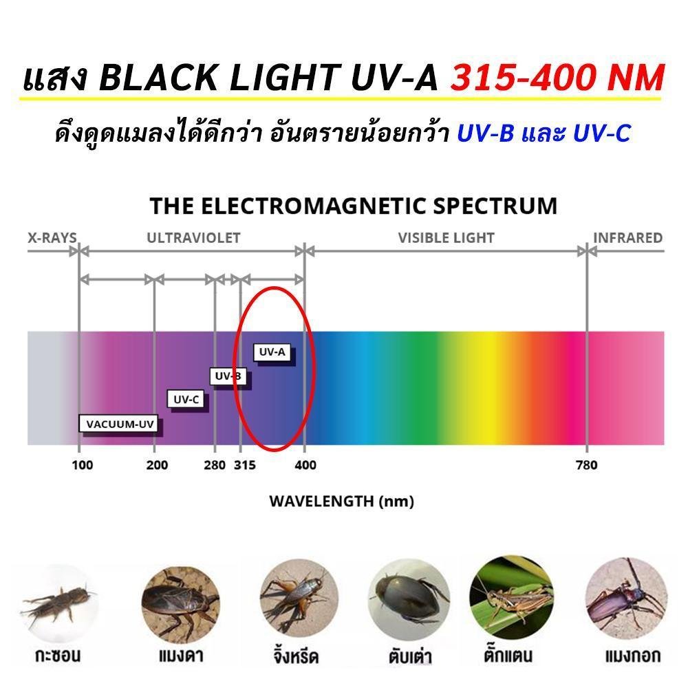 หลอด Blacklight T5 4W 6W 8W 15-30 ซม. หลอดดักยุง หลอดนีออน ดักแมลง แมงดา แมง ตรวจแบงค์ปลอม – 6W - Image 5