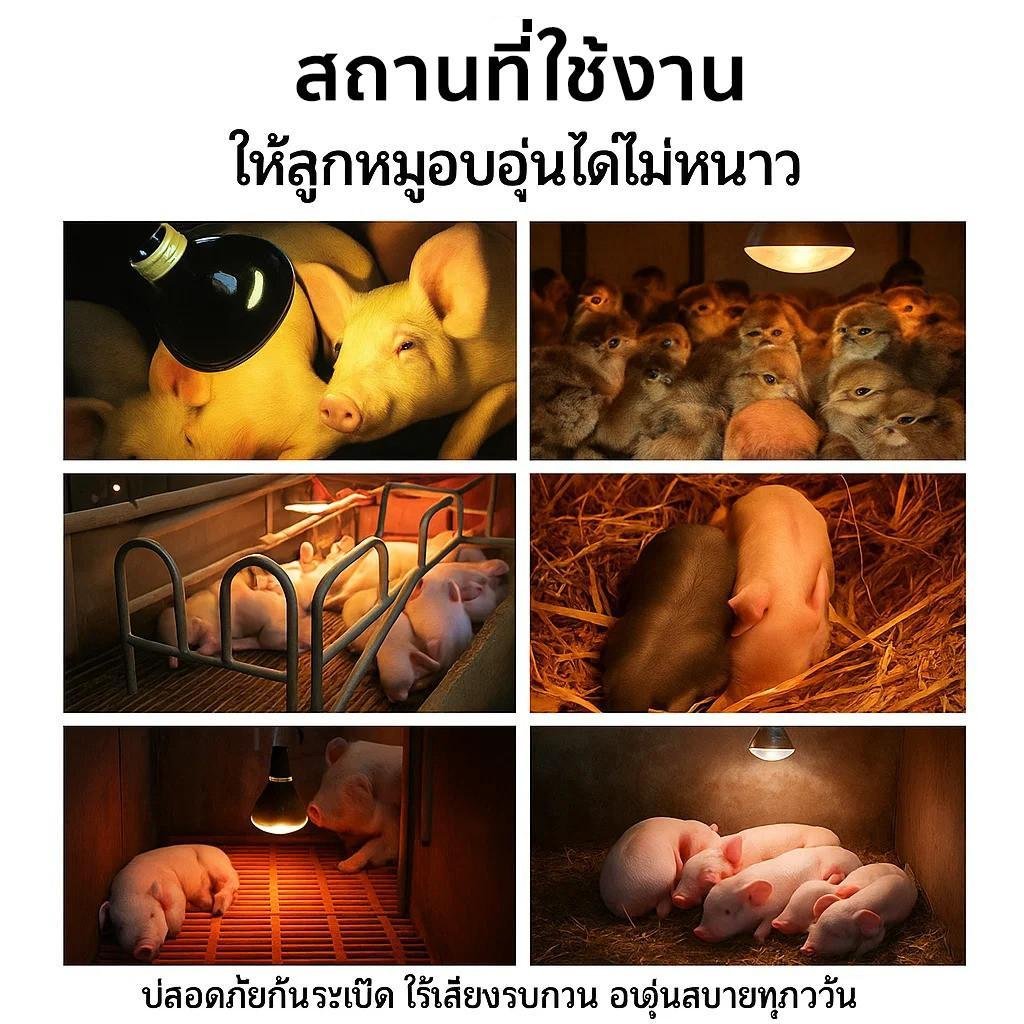 Haloshi ขั้วหลอดไฟ E27 E40 ขั้วห้อยโคมไฟ ขั้วตุ๊กตา รุ่นประหยัด อลูมิเนียม สีเขียว เลือกแบบได้ A B C D สำหรับงานช่าง – ตุ๊กตา E27,1 ชิ้น - Image 9