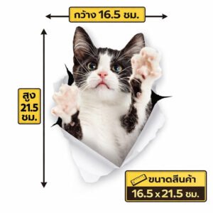 สติ๊กเกอร์ติดผนัง 3D ลายแมวน่ารัก วัสดุ PVC กันน้ำ ลอกออกได้ ไม่ทิ้งคราบ แต่งห้องนอน ห้องทำงาน มี 2 แบบ ส่งจากไทย [88-SA04P]