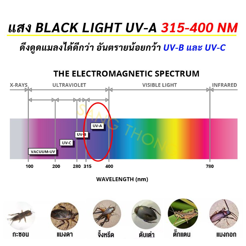 หลอดแบล็คไลท์ T8 18W ยาว 60 CM หลอดล่อแมลง ตั๊กแตน แมงดา ตรวจธนบัตรปลอม ไฟเรืองแสง เวที การแสดง - Image 4