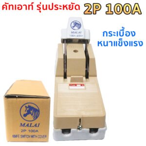MALAI คัทเอาท์ 2P 100A พร้อมฟิวส์ก้ามปู x 2 ตัว สะพานไฟ