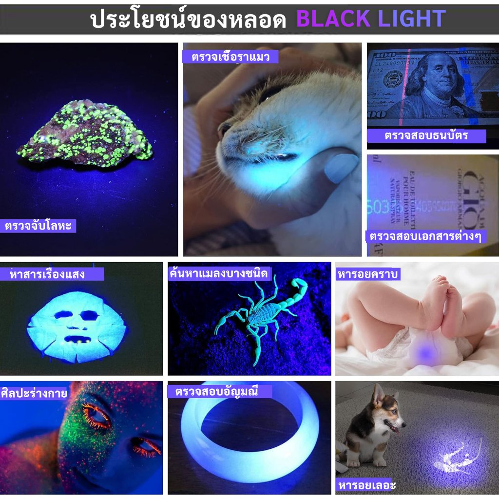 ST หลอดนีออน แบล็คไลต์ ดักยุง และ แมลง T8 10W 15W 18W แสงฟ้า กระชอน แมงดา แมงเล่นไฟ หลอดล่อแมลง – 15W - 45 ซม. - Image 9